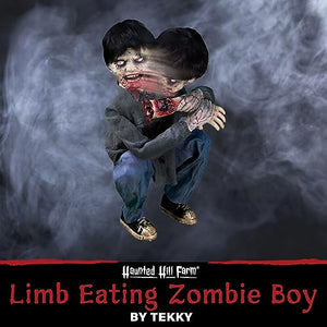 Haunted Hill Farm Crouching Limb Eater Zombie Boy by Tekky, Motion-Activated Scare Prop Animatronic for Indoor or Covered Outdoor Creepy Halloween Decoration, Plug-in or Battery Operated